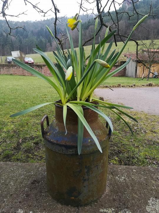 Bio-Gasthof Bärenbrunnerhof